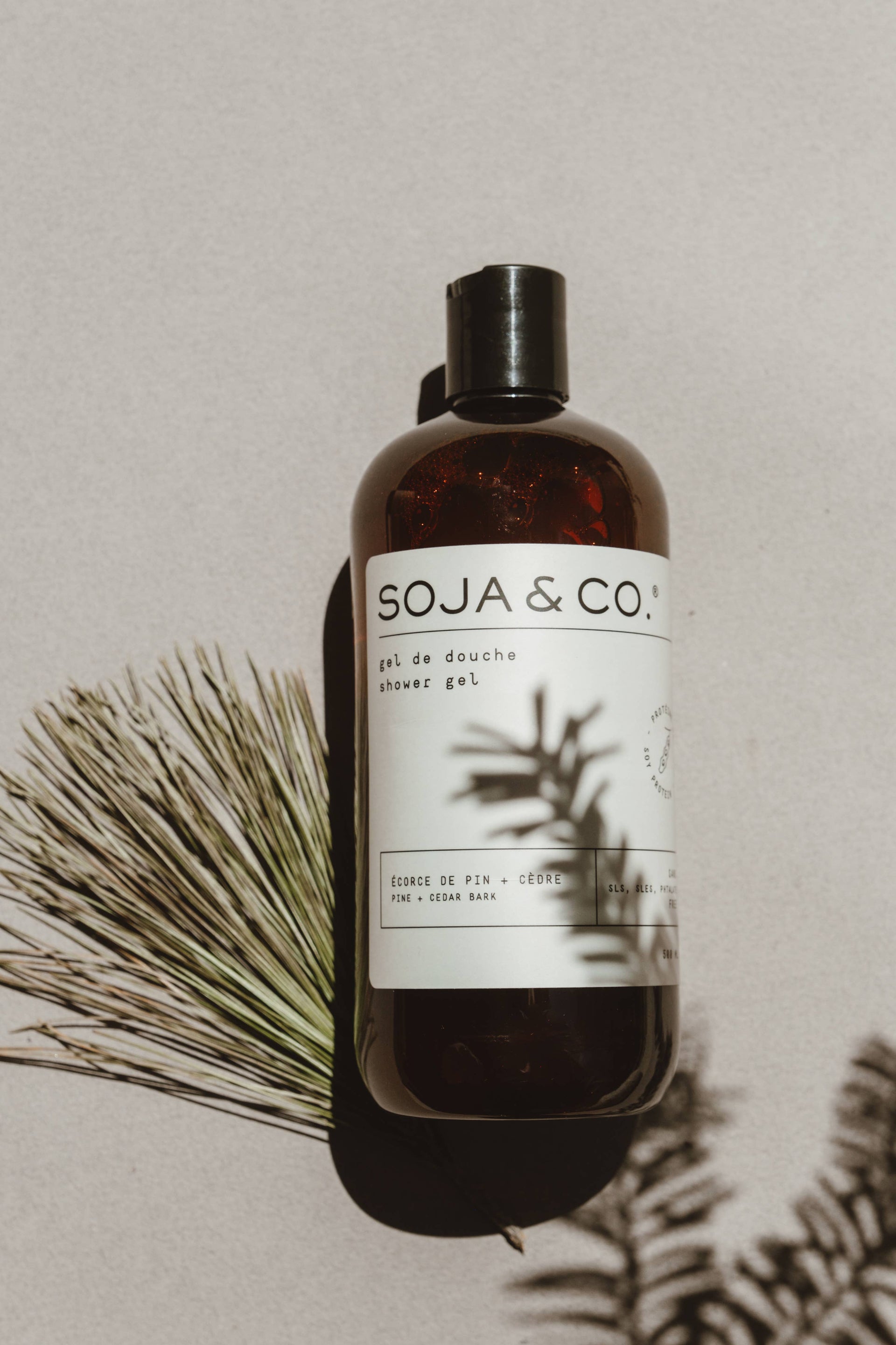 Shower Gel | Pine + Cedar Bark