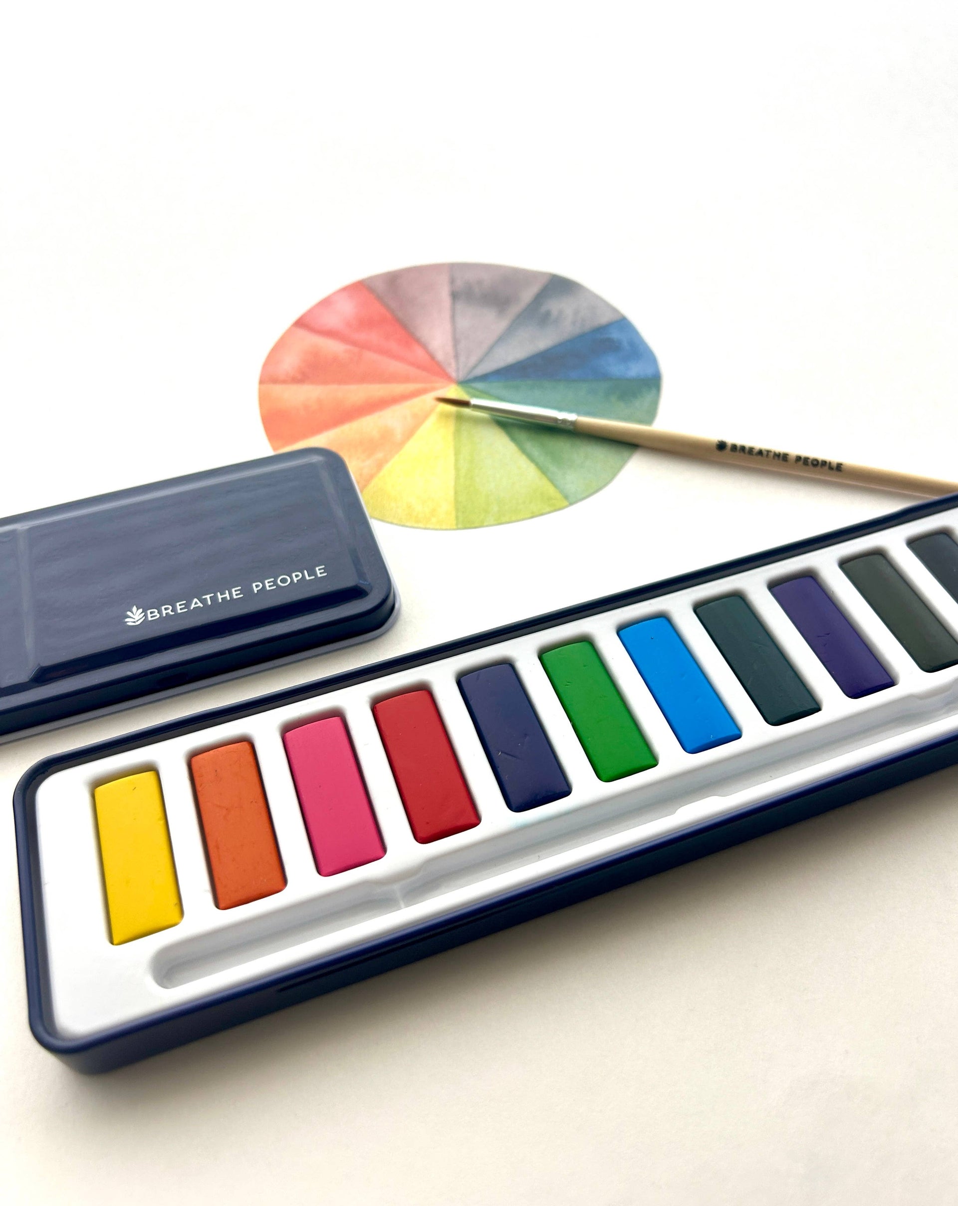 Set of watercolor paints with a color wheel and brush