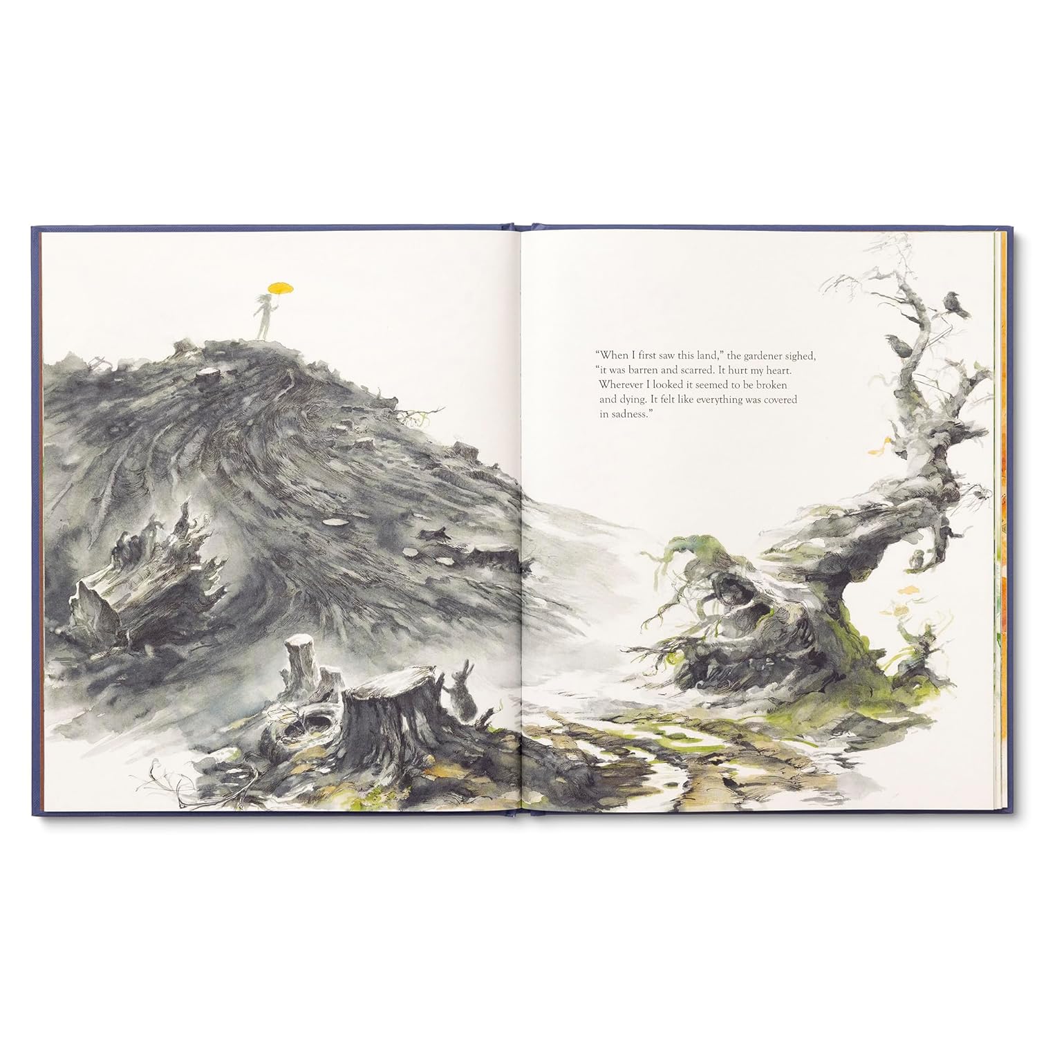 Open book with illustrations of a landscape and text