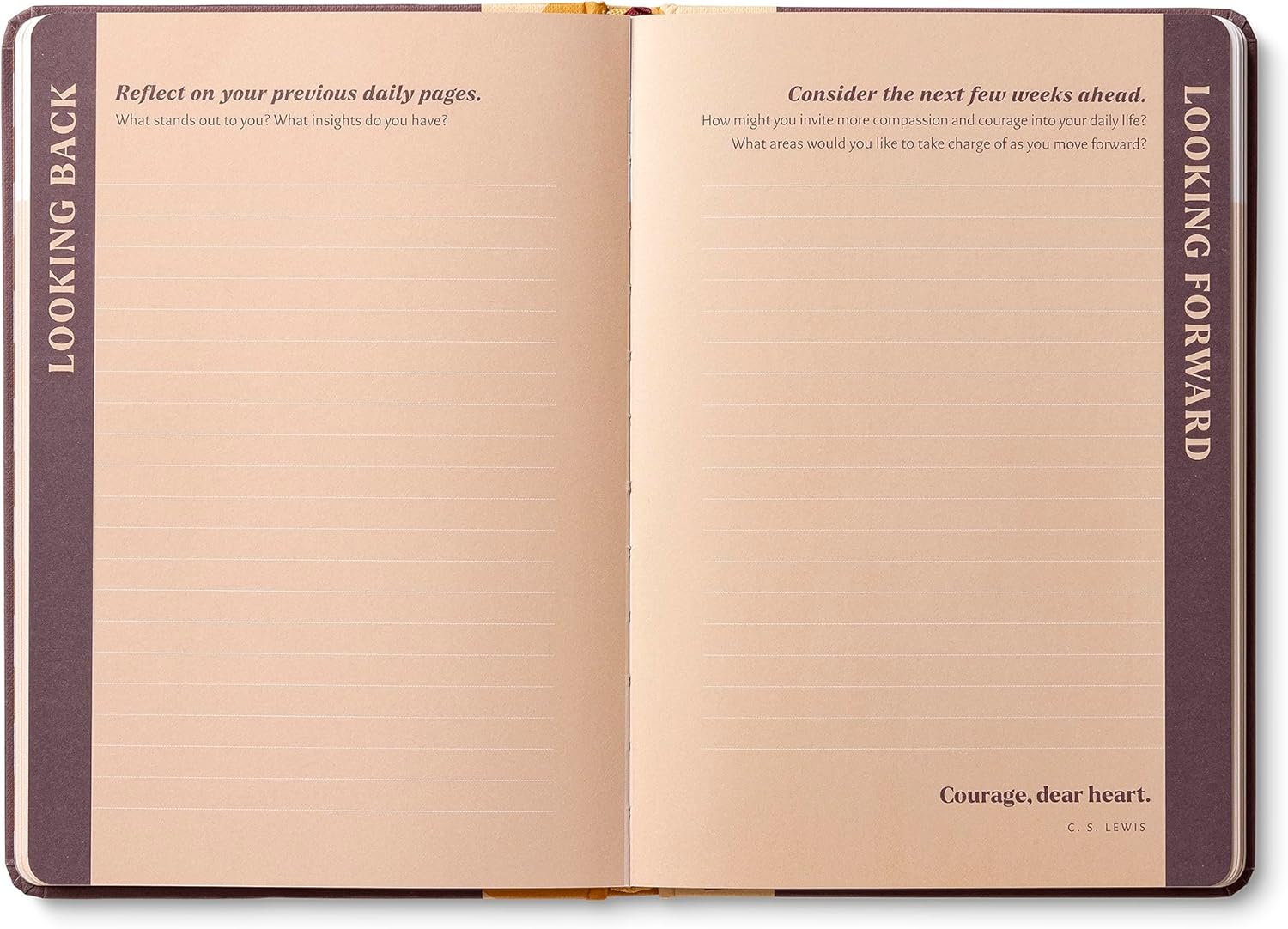 Open notebook with 'Looking Back' and 'Looking Forward' sections