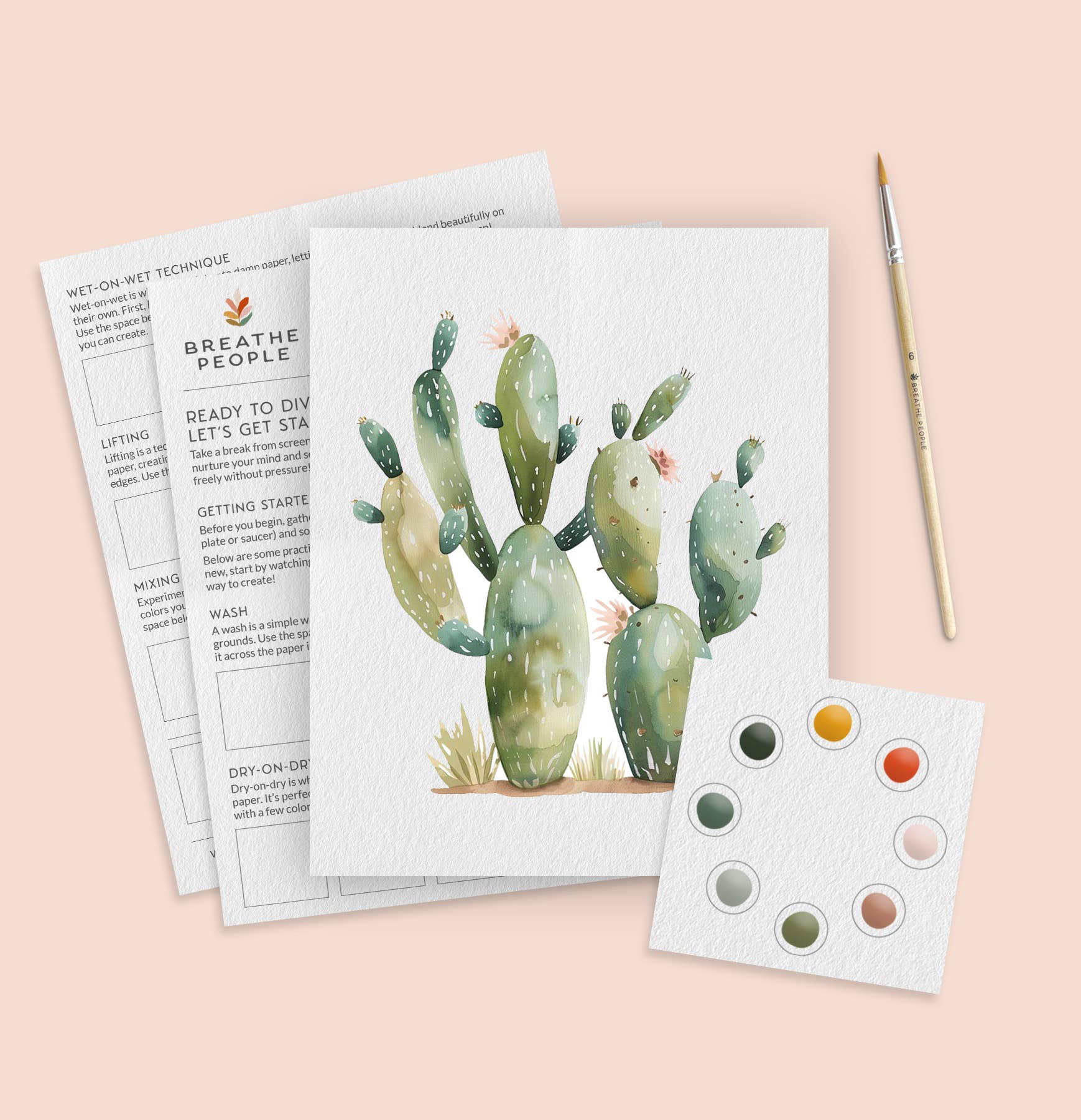 Artistic print of a cactus with a color swatch and instruction sheet