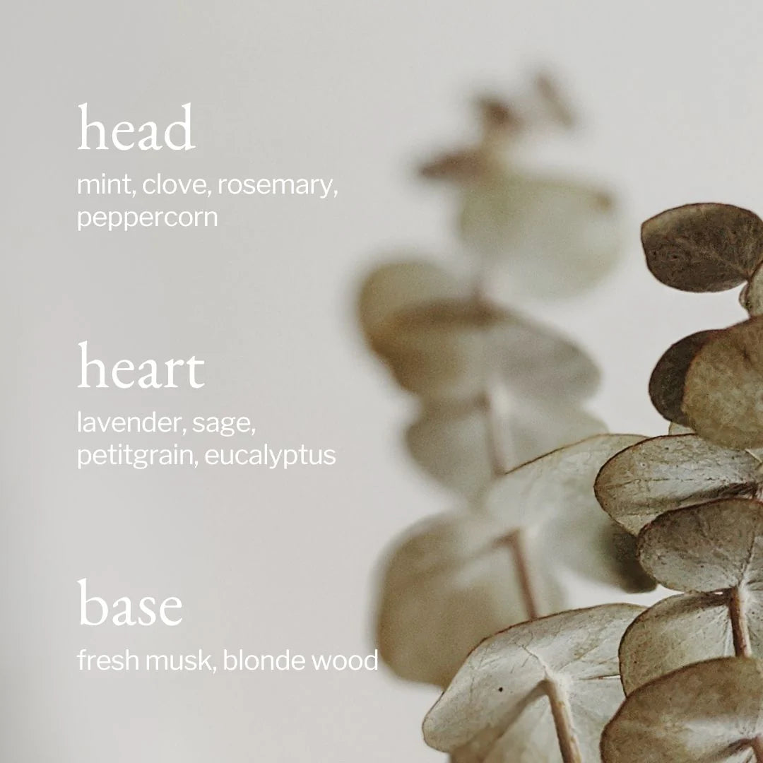 Textual description of head, heart, and base notes