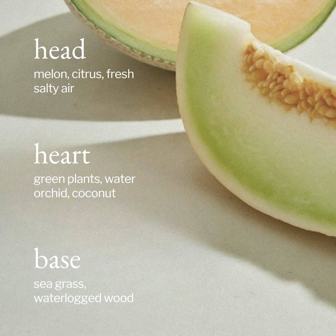 Sliced melon