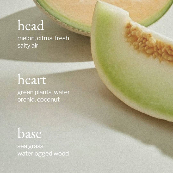 Sliced melon