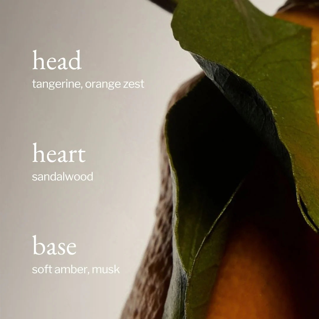 Close-up of a leaf with text