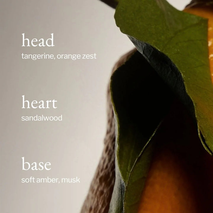 Close-up of a leaf with text